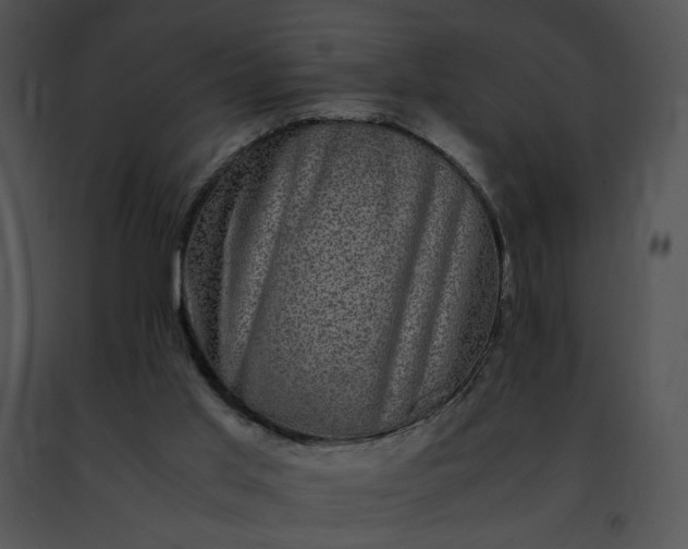 X0000091480013200708301924