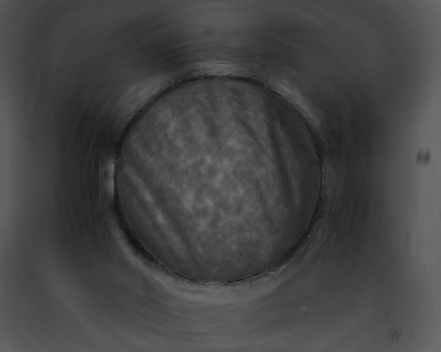 X0000091480014200708301924