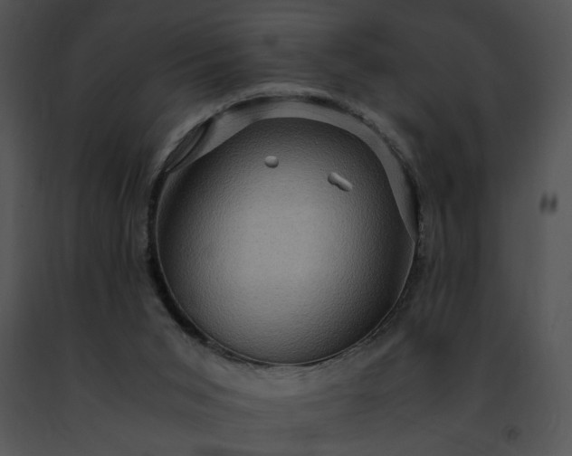 X0000091480015200708301924