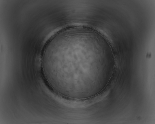 X0000091480016200708301924