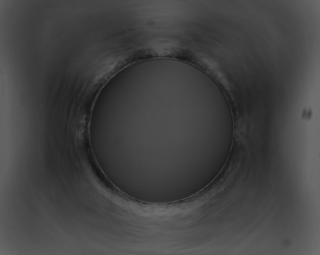 X0000091480018200708301924