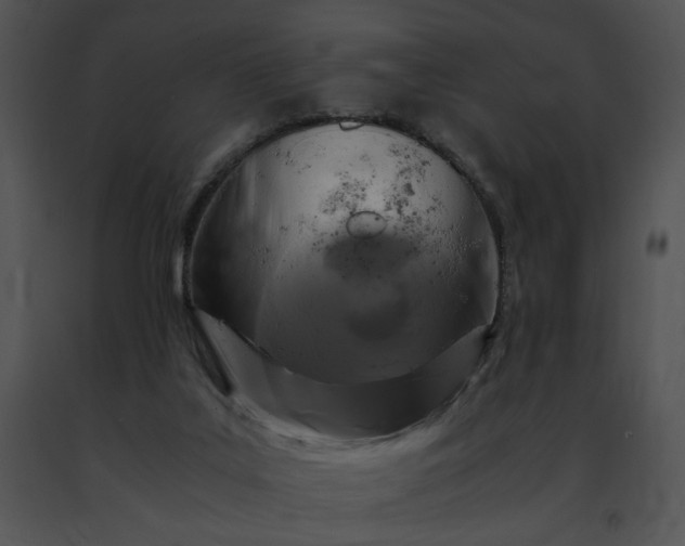 X0000091480019200708301924