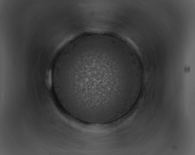 X0000091480020200708301924