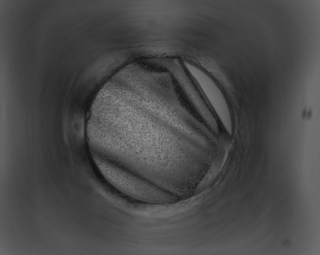 X0000091480021200708301924