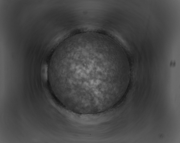 X0000091480022200708301924