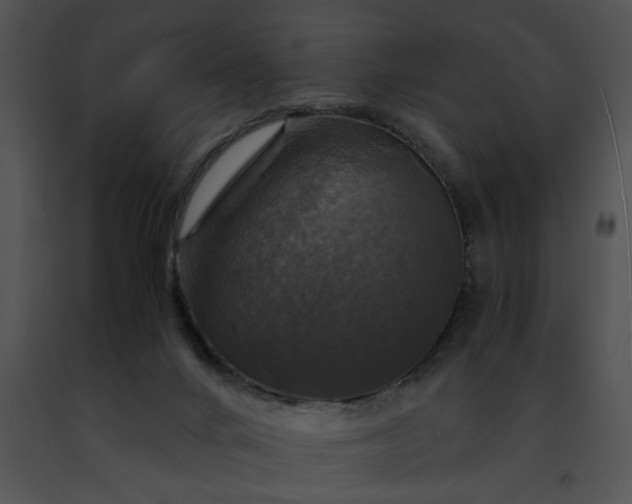 X0000091480024200708301924