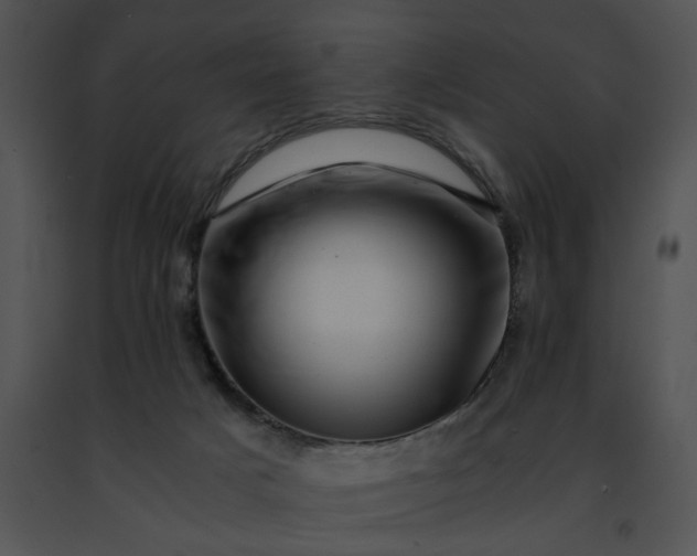 X0000091480025200708301924