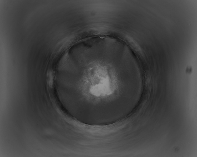 X0000091480026200708301924