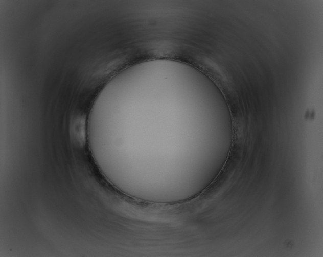 X0000091480028200708301924