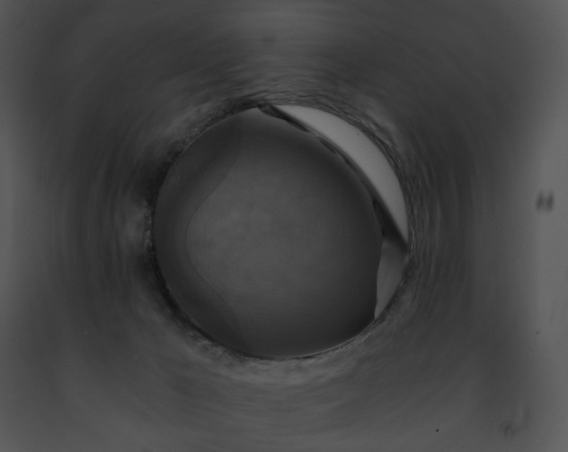 X0000091480029200708301924