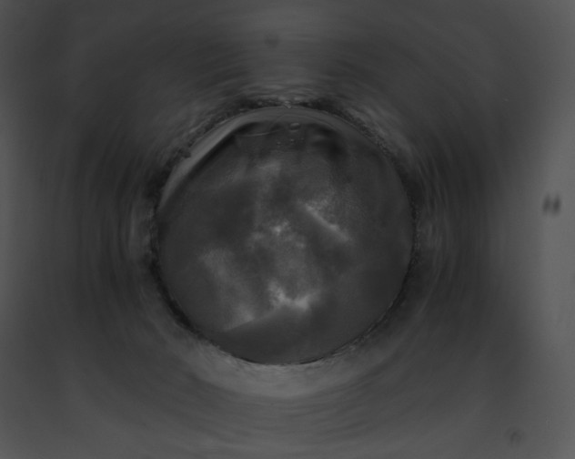 X0000091480030200708301924