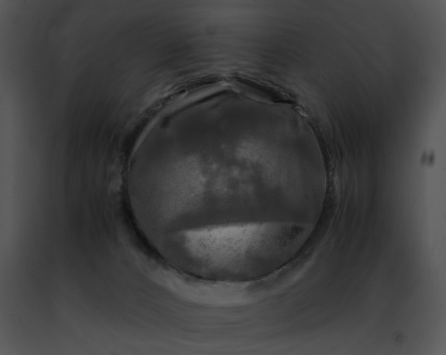 X0000091480032200708301924