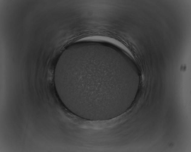 X0000091480033200708301924