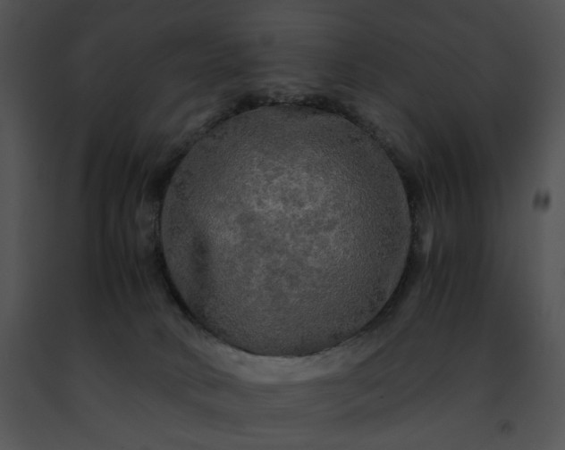 X0000091480034200708301924