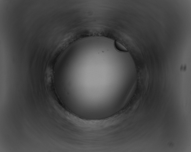 X0000091480038200708301924