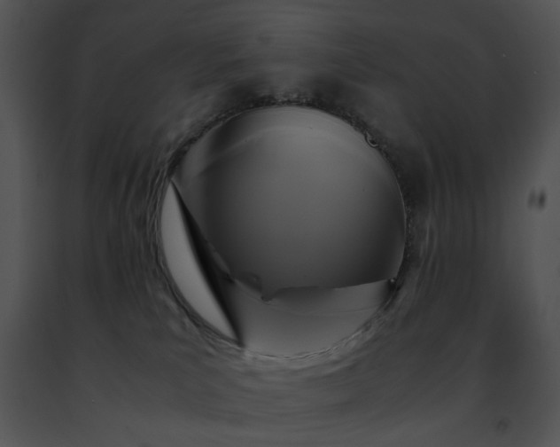 X0000091480039200708301924