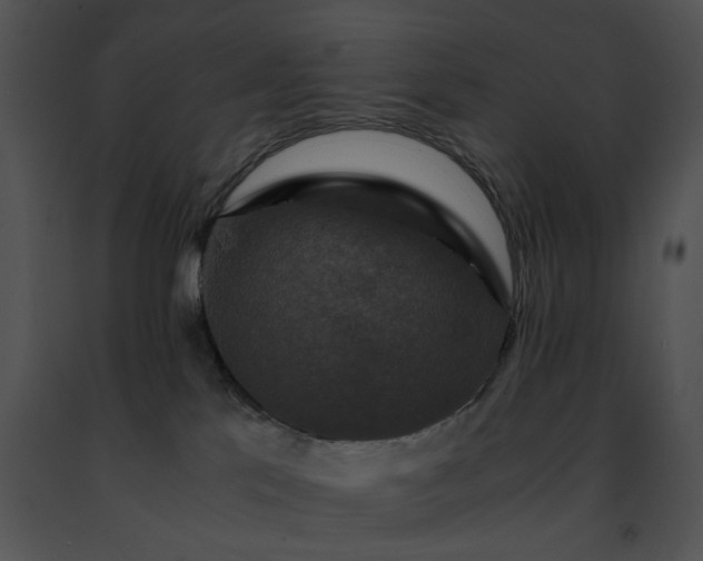 X0000091480041200708301924