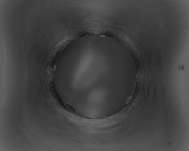 X0000091480043200708301924