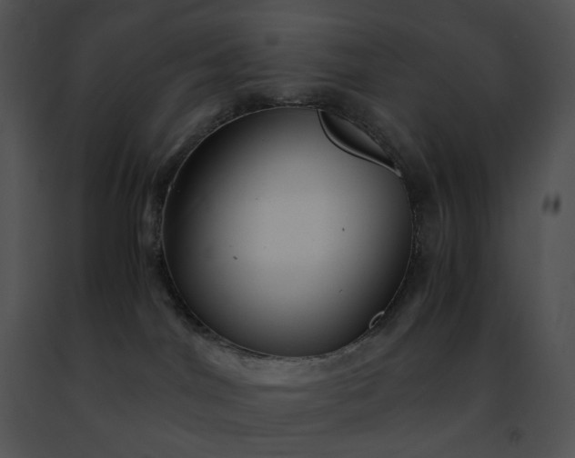 X0000091480044200708301924