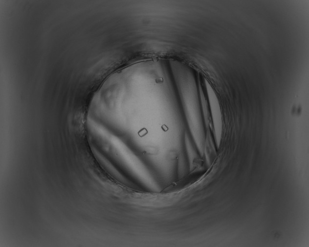 X0000091480045200708301924