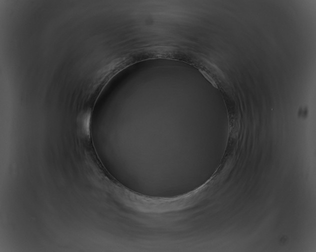 X0000091480047200708301924