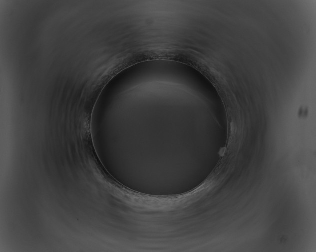 X0000091480048200708301924