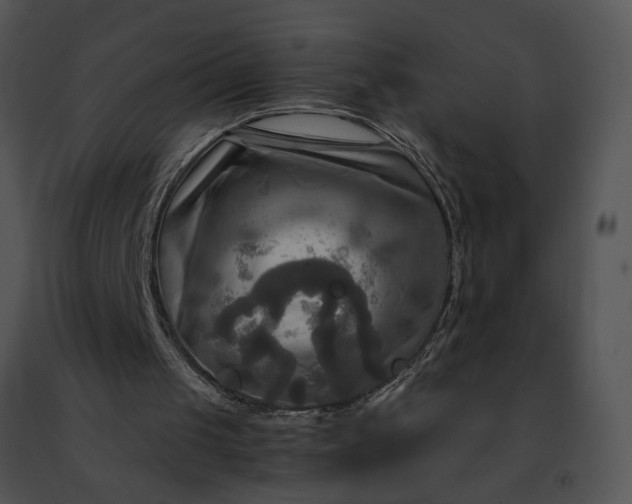 X0000091480049200708301923