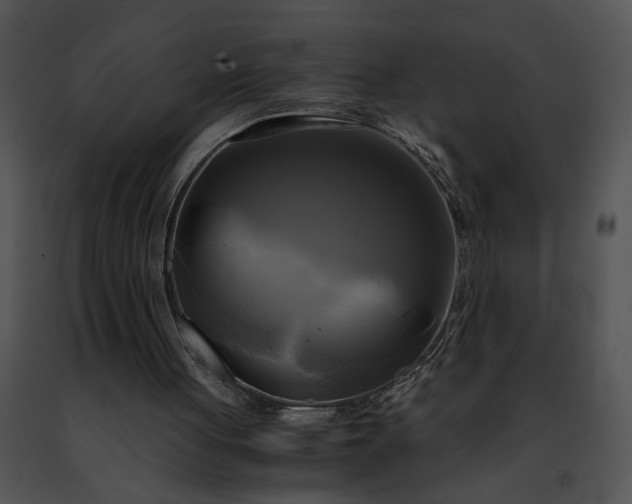 X0000091480051200708301923