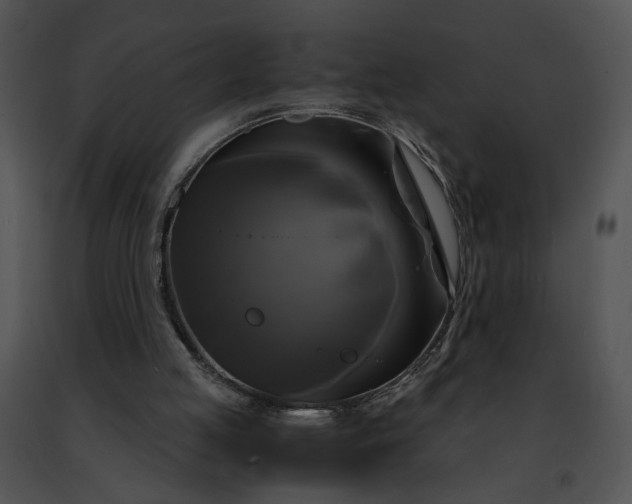 X0000091480053200708301923