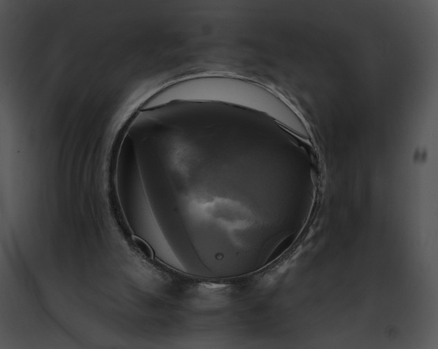 X0000091480055200708301923