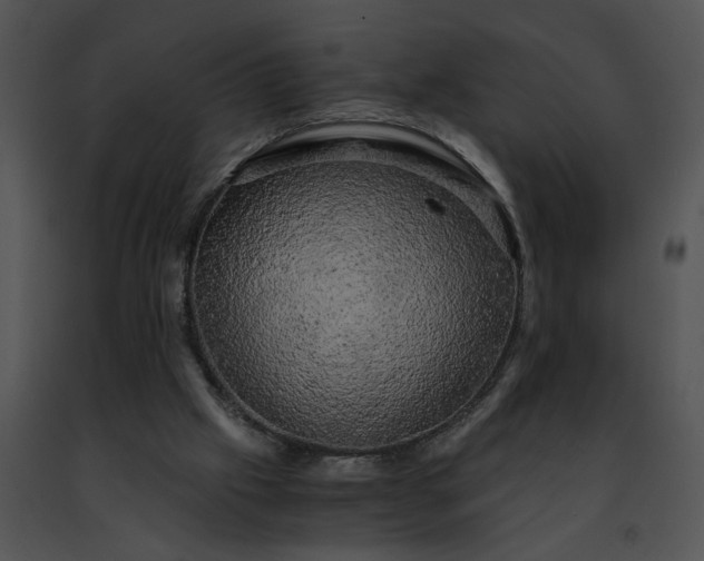 X0000091480057200708301923