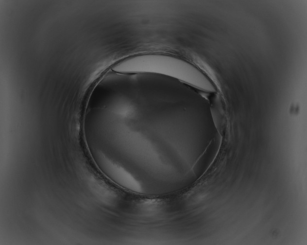 X0000091480059200708301923