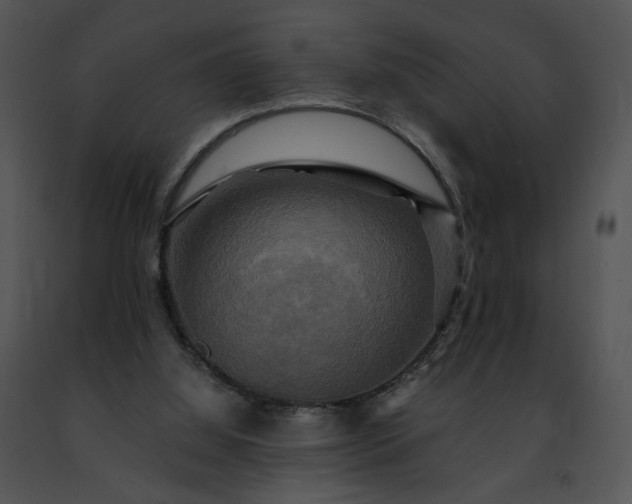 X0000091480060200708301923