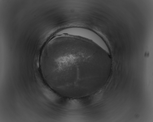 X0000091480062200708301923