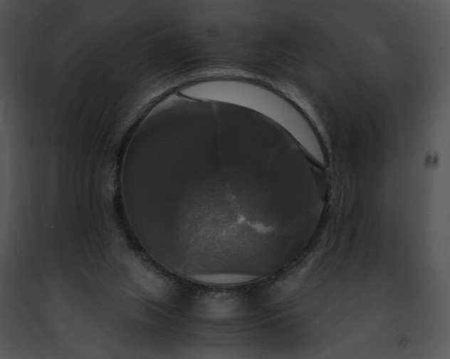 X0000091480063200708301923