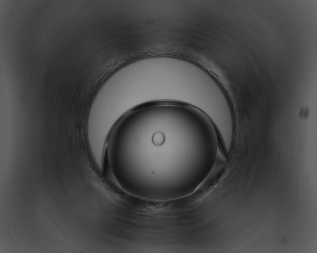 X0000091480065200708301923