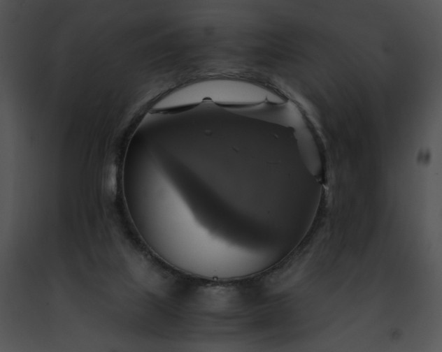 X0000091480067200708301923