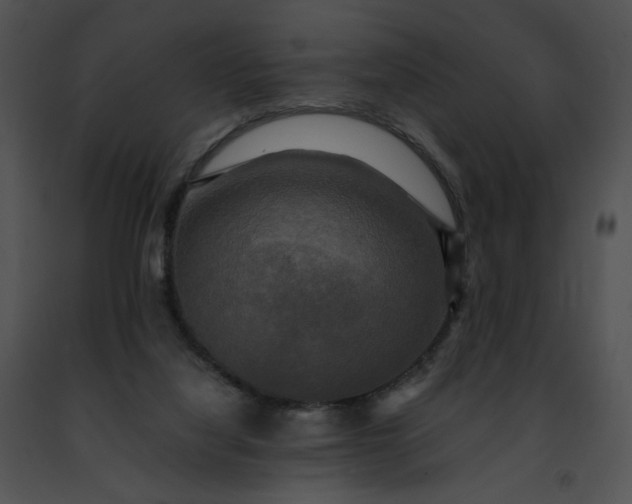 X0000091480068200708301923