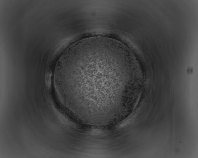 X0000091480070200708301923