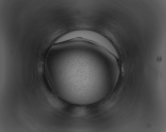 X0000091480071200708301923