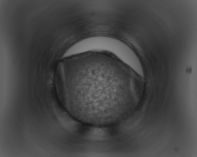 X0000091480073200708301923