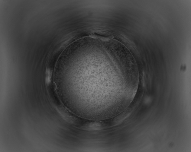 X0000091480075200708301923