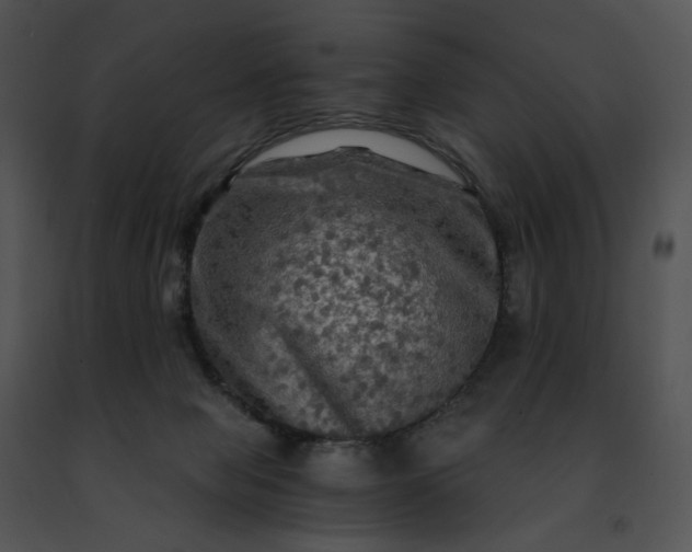 X0000091480077200708301923