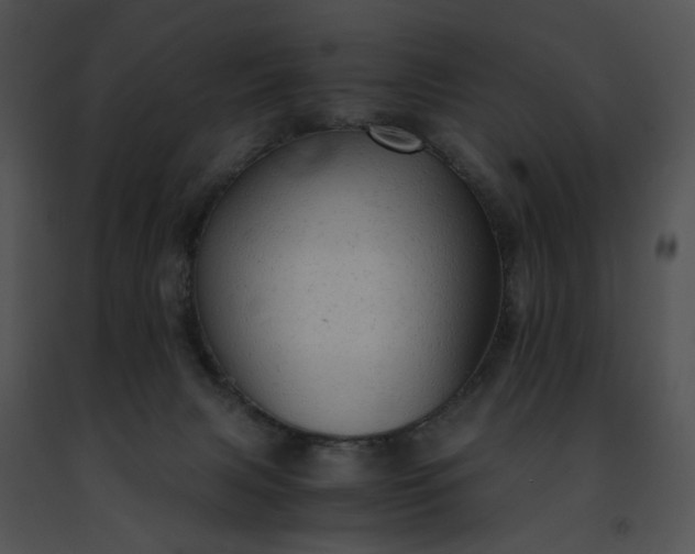 X0000091480079200708301923