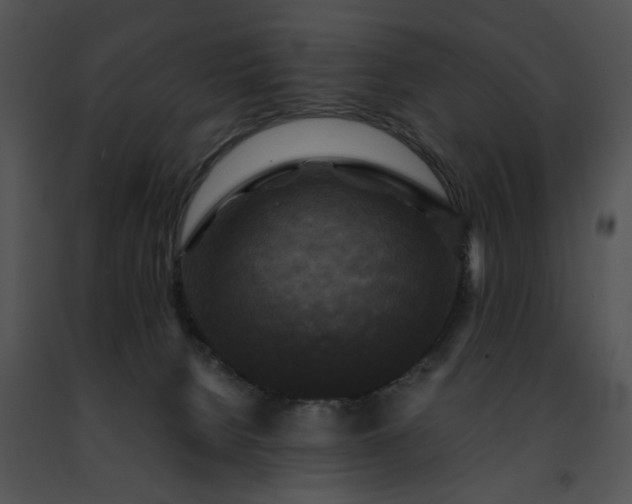 X0000091480080200708301923