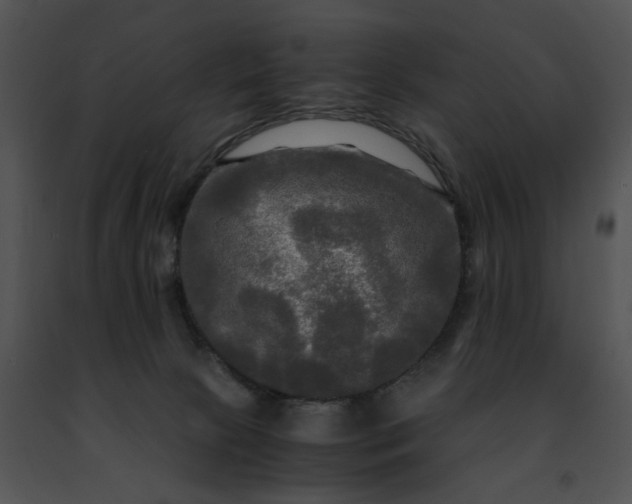 X0000091480081200708301923