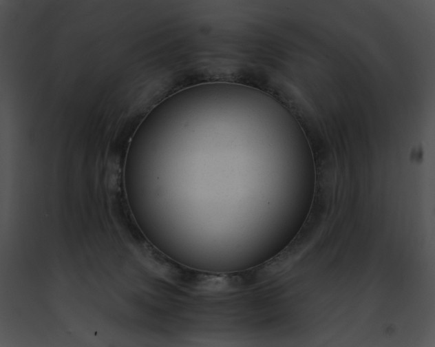 X0000091480083200708301923