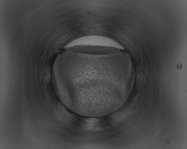 X0000091480085200708301923