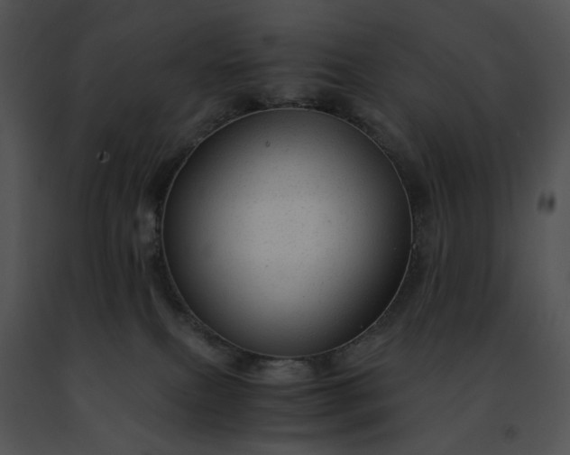 X0000091480087200708301923