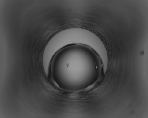 X0000091480088200708301923